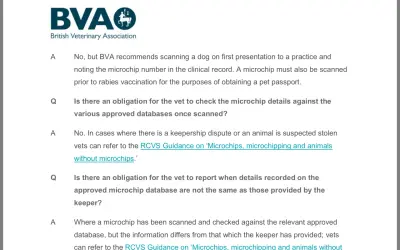 British Veterinary Association guidance on scanning dogs and the need to update dog microchip details for rabies vaccinations and pet passports.