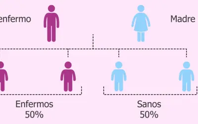Diagrama de herencia genética: padre enfermo (morado) y madre sana (azul) tienen 50% de hijos enfermos y 50% sanos.
