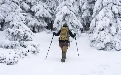 Osoba z plecakiem i kijkami przemierza zaśnieżony las. Warto znać abc lawinowe, by bezpiecznie wędrować zimą.