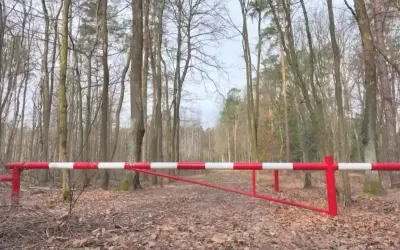 Przed nami szlaban z napisem "zakaz wjazdu do lasu". Droga leśna jest pusta, otoczona drzewami.