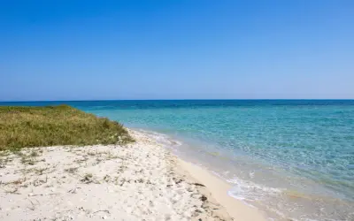 Arena blanca y aguas cristalinas en la playa Borna, con vegetación verde y un cielo azul intenso.
