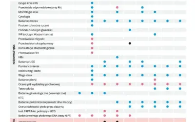 Kiedy pierwsze badania prenatalne? Terminy, NFZ i co dalej?