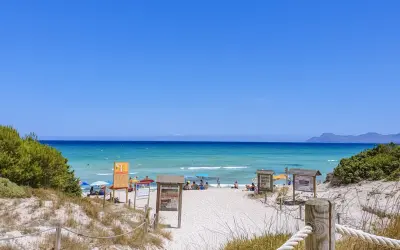 Piękna plaża Playa de Muro z turkusową wodą, białym piaskiem i zieloną roślinnością. Ludzie odpoczywają pod parasolami.