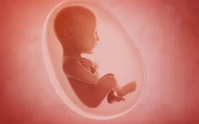 Płód w łonie matki, otoczony przez zielone wody płodowe, rozwija się w bezpiecznym środowisku.
