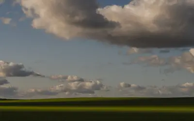 Zachód słońca nad zielonym polem, rzucającym długi cień. Chmury na niebie tworzą ciekawe fotografie.