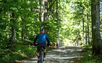 Rowerzysta na ścieżce leśnej, podążający za zielonym szlakiem. Słońce przebija się przez liście drzew.