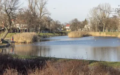 Spokojne stawy cietrzewia w Warszawie, z ludźmi na pomoście i ptakami pływającymi po wodzie, otoczone drzewami i trzcinami.