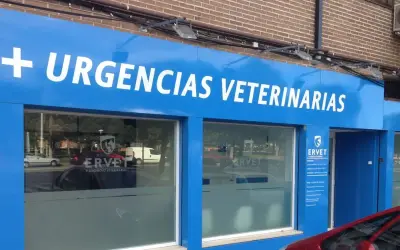 Encuentra el mejor veterinario en Alcorcón para tu mascota hoy