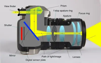 Schemat aparatu fotograficznego pokazujący drogę światła. Migawka, lustro, pryzmat i wizjer współpracują, by uchwycić obraz na matrycy.