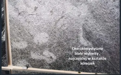 Szara płytka gresowa z charakterystycznym białym nalotem, tworzącym wzory przypominające kółeczka.