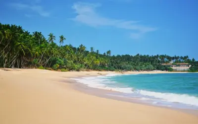 Rajska plaża na Cejlonie z palmami i turkusową wodą. Idealne miejsce na relaks.