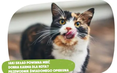 Dobra karma dla psa i kota: Jak rozpoznać prawdziwe premium?