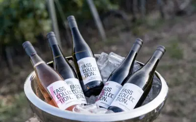 Flaschen mit "Fass Kollektion" Etiketten, darunter ein Rosé-Wein, in einem Eisbehälter. Ein Genuss für Liebhaber von gutem **Wein rot** und weiß.