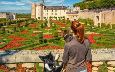 Femme et deux chiens admirant un château et un jardin à la française coloré.