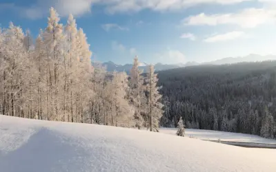 Zimowy krajobraz Bieszczad. Śnieg pokrywa wzgórza i lasy, a drzewa są oszronione. Słońce przebija się przez chmury, tworząc magiczną atmosferę.