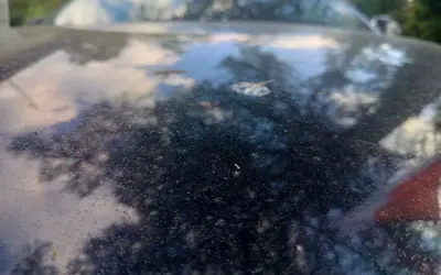 Na ciemnej karoserii samochodu widać liczne drobne plamki, w tym kilka większych, które wyglądają jak **ptasie odchody**.