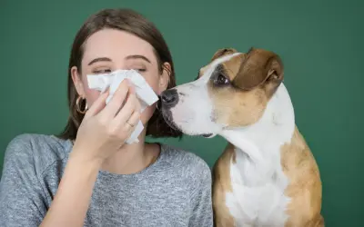 Una mujer se suena la nariz con un pañuelo mientras un perro se acerca. ¡Quizás sea uno de esos perros que no dan alergia!