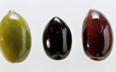 Tres aceitunas: verde, negra y morada. Cada una es una fuente de aceitunas nutrientes, esenciales para una dieta equilibrada.