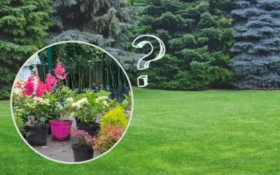 Szukasz pomysłów, co posadzić pod świerkiem? W okręgu widać kwitnące krzewy i byliny, a za nimi młode drzewka.