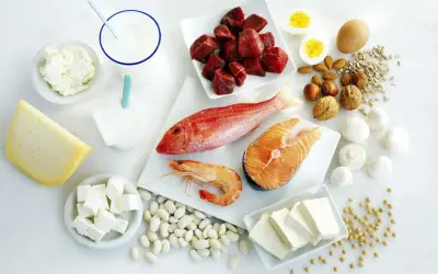 Variedad de alimentos ricos en proteínas: carne, pescado, marisco, huevos, lácteos, legumbres, frutos secos y tofu, fuentes de los 20 aminoácidos esenciales.