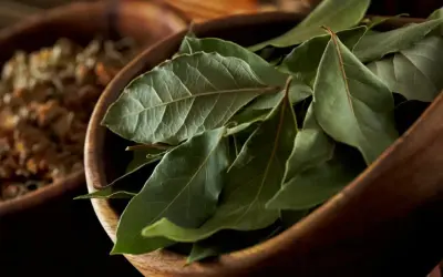 Hojas de laurel secas en un cuenco de madera, listas para dar sabor a guisos y estofados.