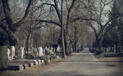 Aleja na cmentarzu z nagrobkami po bokach i drzewami bez liści.