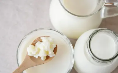 Maślanka i kefir w szklanych naczyniach. Na drewnianej łyżce ziarna kefirowe. Zdrowy napój na co dzień.