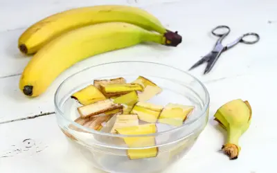 Kawałki skórek bananów w wodzie, przygotowywane jako nawóz z banana. Obok leżą banany i nożyczki.