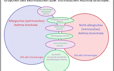 Schema zeigt extrinsisches Asthma, das 90% der Fälle ausmacht, mit Unterformen wie berufsbedingtem allergischem Asthma.