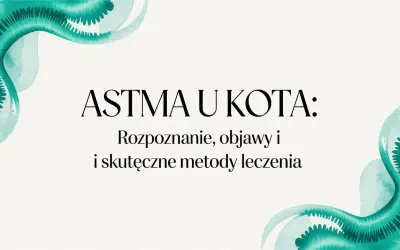 Astma u kota: rozpoznanie, objawy i skuteczne metody leczenia. Woda w akwarelowym stylu podkreśla delikatność tematu.