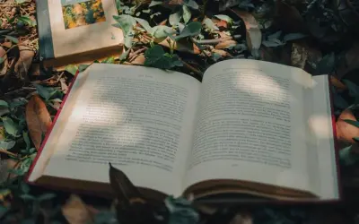 Natura w tekstach kultury: Klucz do zrozumienia człowieka i świata?