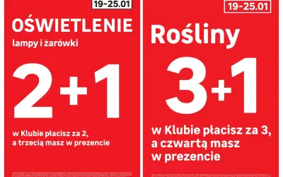 Leroy Merlin: Jak sprawdzić daty promocji? Oszczędzaj sprytnie!