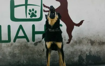 Perro ladrando frente a mural. ¿Cómo hacer que un perro deje de ladrar?