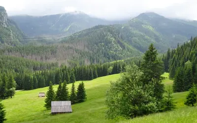 Zielone doliny Tatr, lasy świerkowe i górskie szczyty. W oddali widać kolejkę linową, a na zboczu chaty pasterskie, czyli kalatówki.