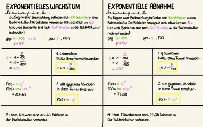 Die Formel für exponentielles Wachstum wird anhand eines Bakterienbeispiels erklärt.