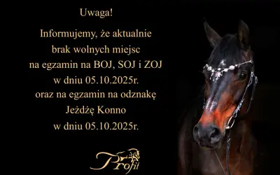 Twój przewodnik: Odznaka "Jeżdżę Konno" PZJ zdaj za 1 razem!