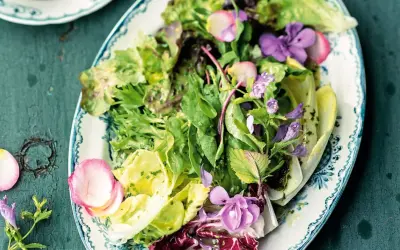 Frischer Blattsalat mit essbaren Blüten und Radieschen, ein frühlingshaftes Salat Rezept.