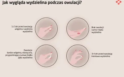 Ilustracja pokazuje zmiany wydzieliny podczas cyklu, wyjaśniając, co to owulacja i jak wygląda wydzielina w jej trakcie: wodnista, kremowa, a w szczycie elastyczna jak białko jaja.