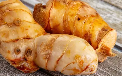 Trzy korzenie galangalu, przyprawy o intensywnym aromacie. Galangal co to? To egzotyczny imbir, który dodaje potrawom pikanterii.