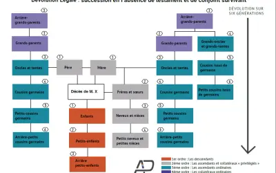 Schéma de dévolution légale : parents, enfants, frères, sœurs, cousins, neveux, etc. pour le service succession.