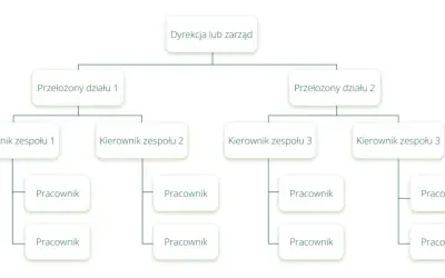 Schemat przedstawia strukturę organizacyjną firmy: Dyrekcja, przełożeni działów, kierownicy zespołów i pracownicy.
