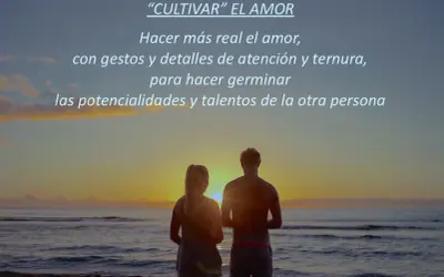 Pareja contemplando el atardecer, cultivando sentimientos de amor con gestos y ternura.
