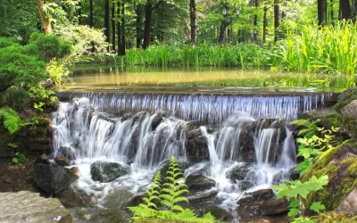 Malowniczy park w Żywcu z kaskadą wodospadu, bujną zielenią i spokojną taflą wody.