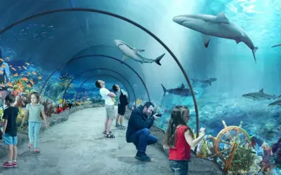 Podwodny tunel z rekinami i rybkami. Rodziny podziwiają podwodny świat. Sprawdź oceanarium Toruń ceny biletów i zaplanuj wizytę!