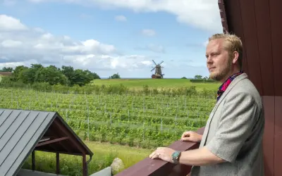 Man i kavaj blickar ut över böljande vingårdar i Skåne, med en väderkvarn i bakgrunden.