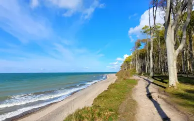 Der gespensterwald nienhagen mit seinem Strand und dem Meer unter blauem Himmel. Ein Pfad führt durch die Bäume.