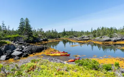 Bunte Kajaks liegen am Ufer bereit für einen **Urlaub im August**. Die felsige Küste mit Kiefern und Seetang lädt zum Erkunden ein.
