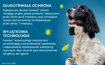 Obroża Foresto® działa dzięki mechanizmowi kontrolowanego uwalniania substancji, chroniąc psa przed kleszczami i pchłami do 8 miesięcy.