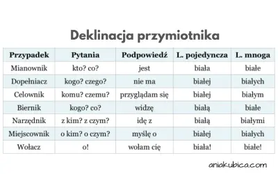 Tabela pokazuje, na co odpowiada przymiotnik w różnych przypadkach języka polskiego, np. "biała" w mianowniku.