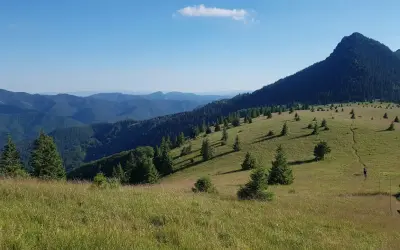 Gorce szczyty w słońcu, zielone zbocza i samotny turysta na ścieżce.